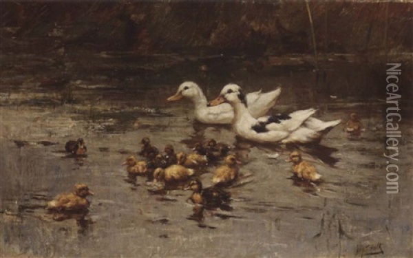 Ducks Having A Swim Oil Painting - John Frederik Hulk the Younger