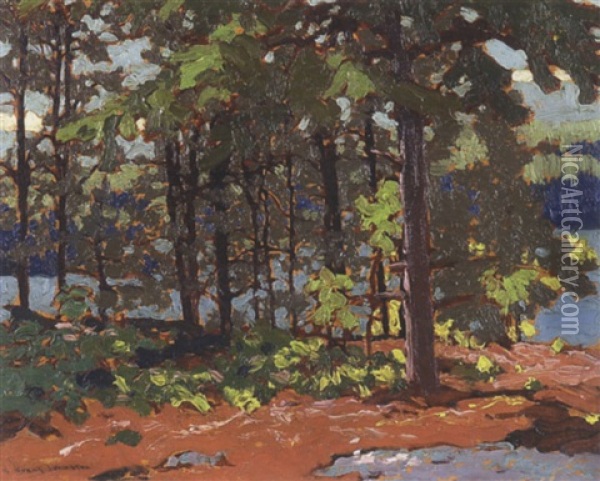 Arabesque, Lake Of The Woods Oil Painting - Francis Hans Johnston