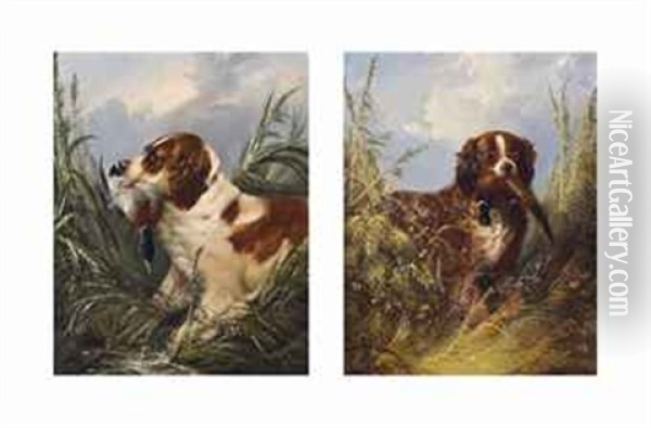 Retrieving: Duck And Pheasant (pair) Oil Painting - George Armfield