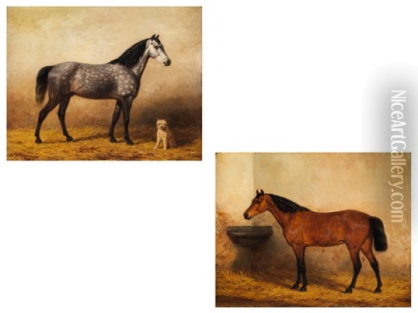 Pferdeportraits (pair) Oil Painting - Willem Carel Nakken