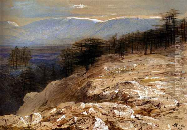The Cedars Of Lebanon Oil Painting - Edward Lear