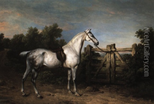 Sir Charles Mordant's Grey Hunter, 'piccolo' Tethered To A Gate Oil Painting - Philipp Reinagle