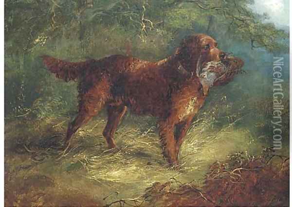 A gundog with a grouse Oil Painting - George Armfield