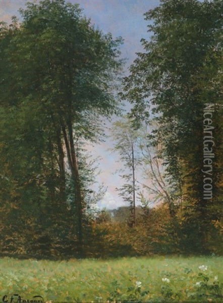 Forest Scenery With Large Trees Oil Painting - Carl Frederik Peder Aagaard