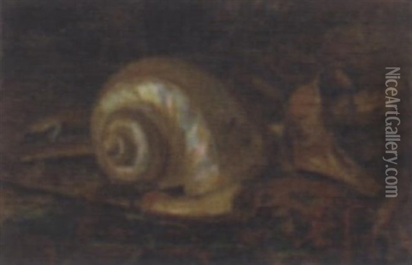A Still Life With Shell And Keris Oil Painting - Dirk Schaefer