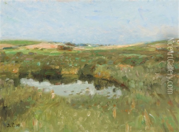 Summer Landscape With A Pond Oil Painting - Julius Paulsen