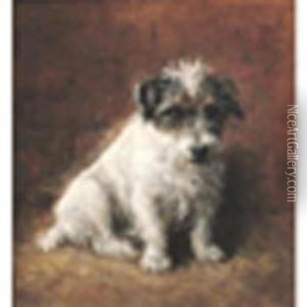 Wire Haired Jack Russell Oil On Canvas 16 X 15in Oil Painting - Samuel Fulton