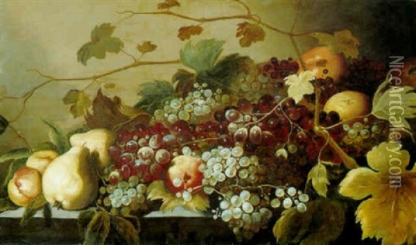 Grapes, Peaches And Pears On A Ledge Oil Painting - Roelof Koets the Elder