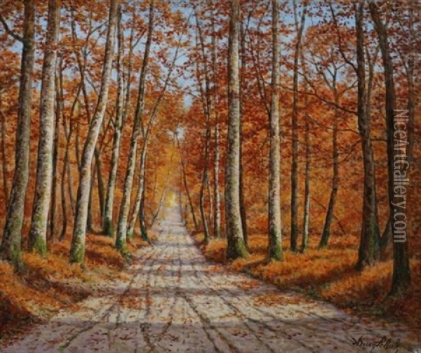 Paysage D'automne De Foret Oil Painting - Adrien Schulz
