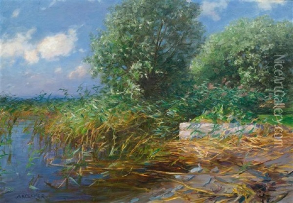 Teichlandschaft Mit Schilf Oil Painting - Alexander Max Koester