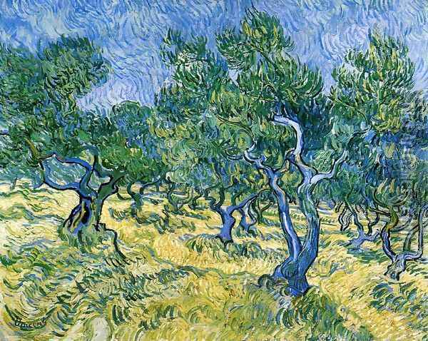 Olive Grove II Oil Painting - Vincent Van Gogh