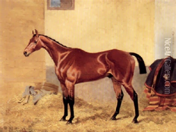 H.r.h. The Prince Of Wales Bay Colt In A Stable Oil Painting - Alfred F. De Prades