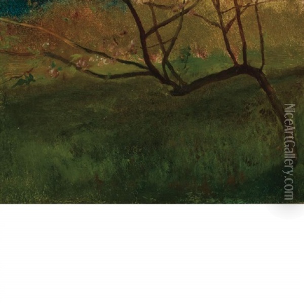 Study Of Apple Tree, Spring Oil Painting - John La Farge
