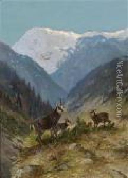 Flock Of Chamois In The High Mountains Oil Painting - Moritz Muller
