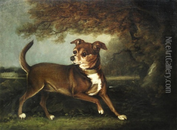 Portrait Of A Dog In A Landscape Oil Painting - Henry Bernard Chalon