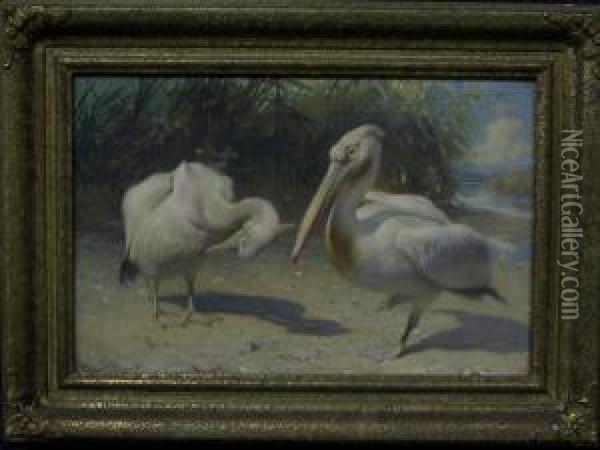 Twee Pelikanen Oil Painting - George Sturm