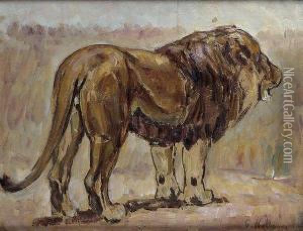 Lion Oil Painting - Gustav Wertheimer