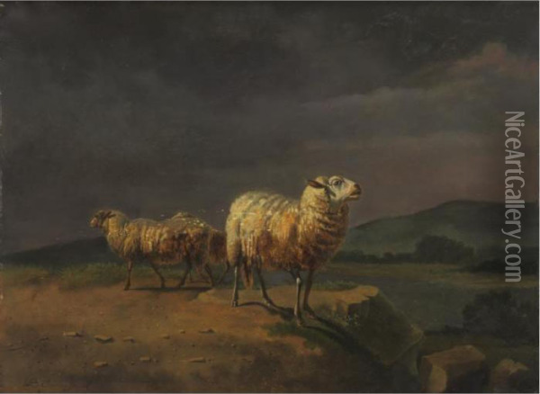 Sheep In A Landscape Oil Painting - Balthasar Paul Ommeganck
