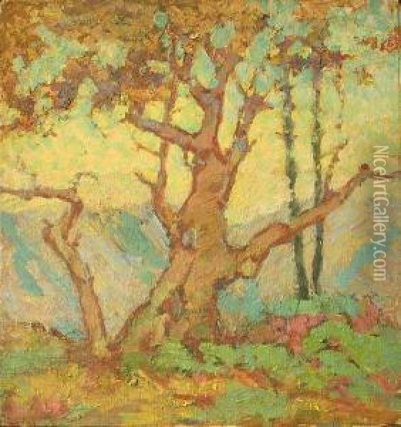 Tree Study Oil Painting - Calthea Campbell Vivian