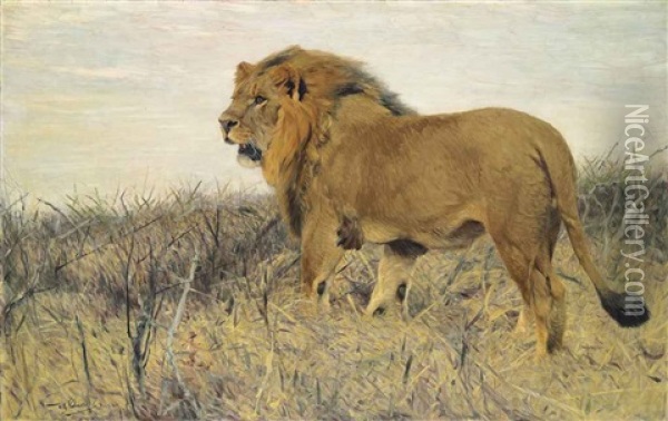 A Lion Oil Painting - Wilhelm Friedrich Kuhnert