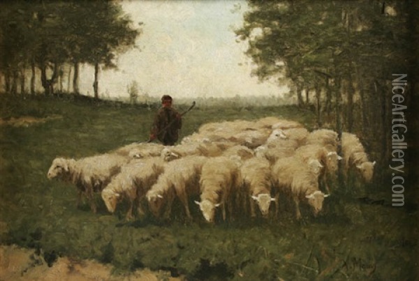 Shepard Herding His Sheep Oil Painting - Anton Mauve