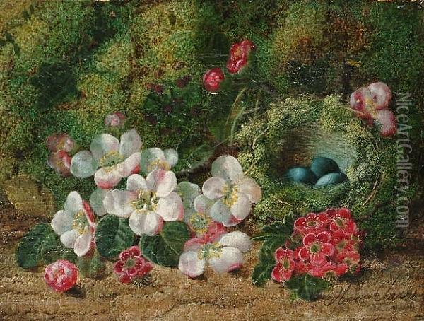 Still Life Of Fruit On A Mossy 
Bank; Still Life Of Flowers And A Bird's Nest On A Mossy Bank Oil Painting - Oliver Clare