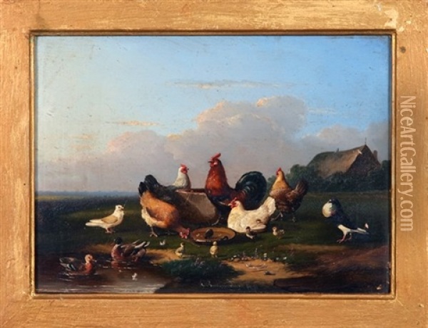 Chickens, Ducks, And Pigeons, With Thatch-roof Building In Background Oil Painting - Francois Vandeverdonck