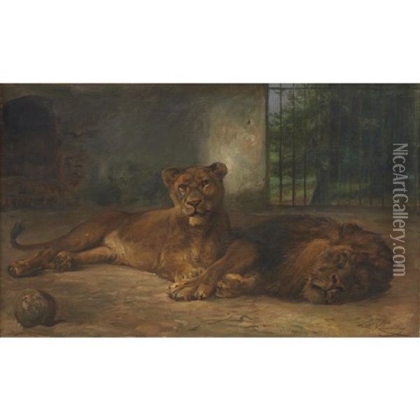 Lions At Rest Oil Painting - Wilhelm Friedrich Kuhnert