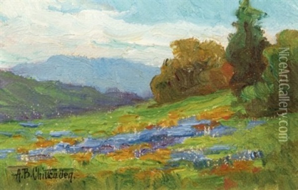 California Landscape With Poppies And Lupine Oil Painting - Alice Brown Chittenden