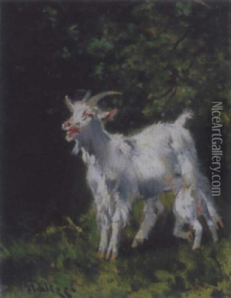 Wiesenlandschaft Mit Ziege Und Ihrem Jungen Oil Painting - Giuseppe Palizzi