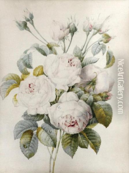 Bouquet De Roses Oil Painting - Pierre-Joseph Redoute