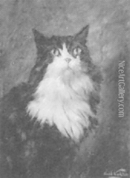 Portrait Of Black And White Cat Oil Painting - Carl Kahler
