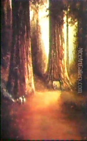 Redwoods At Yosemite Oil Painting - Thomas Hill
