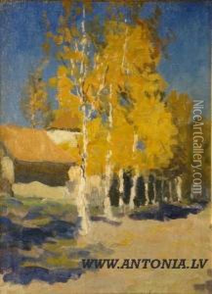 Birches 
In Autumn Oil Painting - Janis Valters
