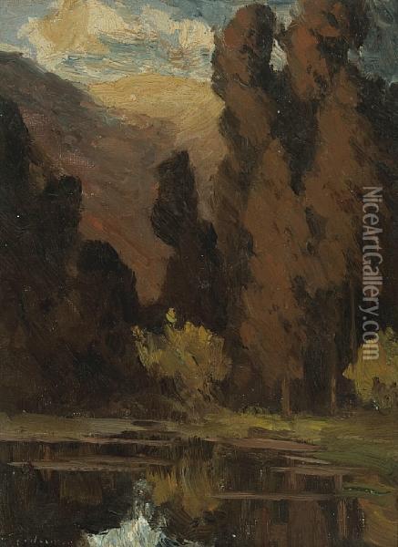 Trees Along A Reflecting Pool Oil Painting - Giuseppe Cadenasso