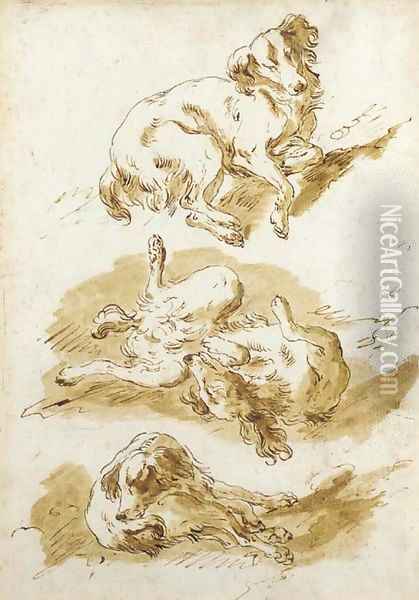 Three studies of a dog frolicking Oil Painting - Pietro Antonio Novelli