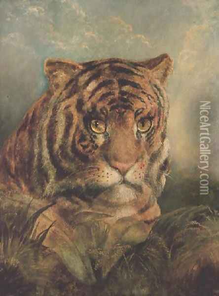 Tiger Oil Painting - William Huggins