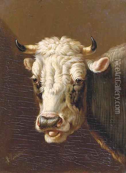 A cow's head Oil Painting - Albertus Verhoesen