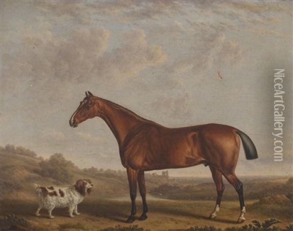 Bay Horse And Spaniel Oil Painting - Charles Towne the Younger