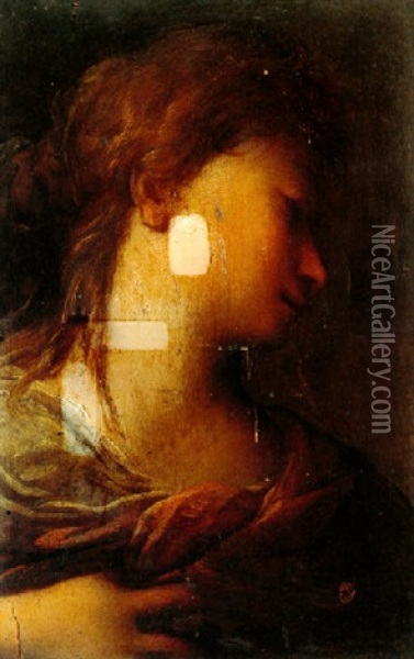 Head Of A Young Woman In Profile Oil Painting - Francesco del Cairo