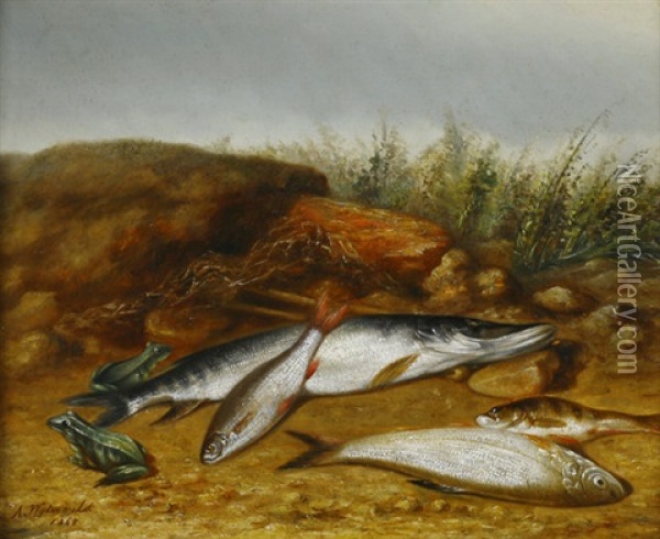 Stilleben Mit Fischen Und Froschen In Strandlandschaft Oil Painting - Arnoud Wydeveld
