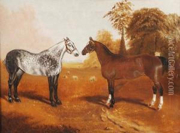 Dapple Grey And Bay Hunters In A Field Oil Painting - John Partridge