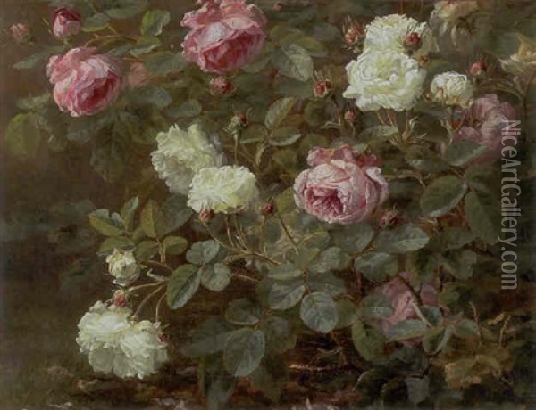 Lyserode Og Hvide Blomstrende Roser Oil Painting - Anthonie Eleonore (Anthonore) Christensen