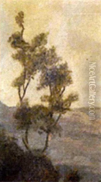 Bosque Con Rio Oil Painting - Joaquin Clausell