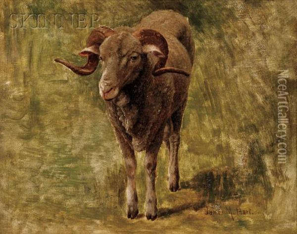 Rocky Mountain Goat Oil Painting - James McDougal Hart