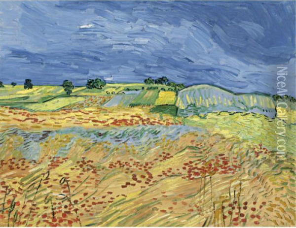 The Fields (wheat Fields) Oil Painting - Vincent Van Gogh