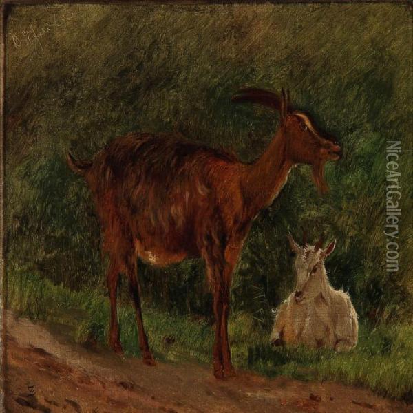 Goat And Kid Oil Painting - Wilhelm Zillen