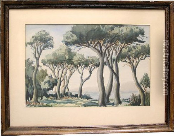 Trees Along A Coast Oil Painting - James Hall