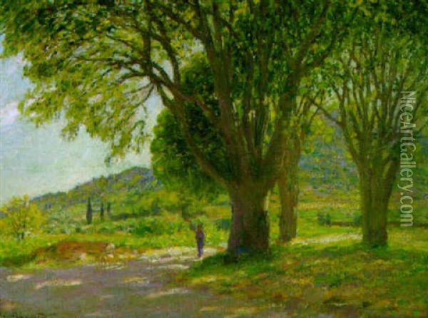 Schattenspendende Baume In Sudfrankreich Oil Painting - Gabriel Amoretti