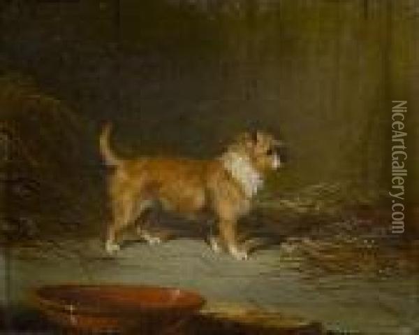 A Terrier In A Stable Oil Painting - George Armfield